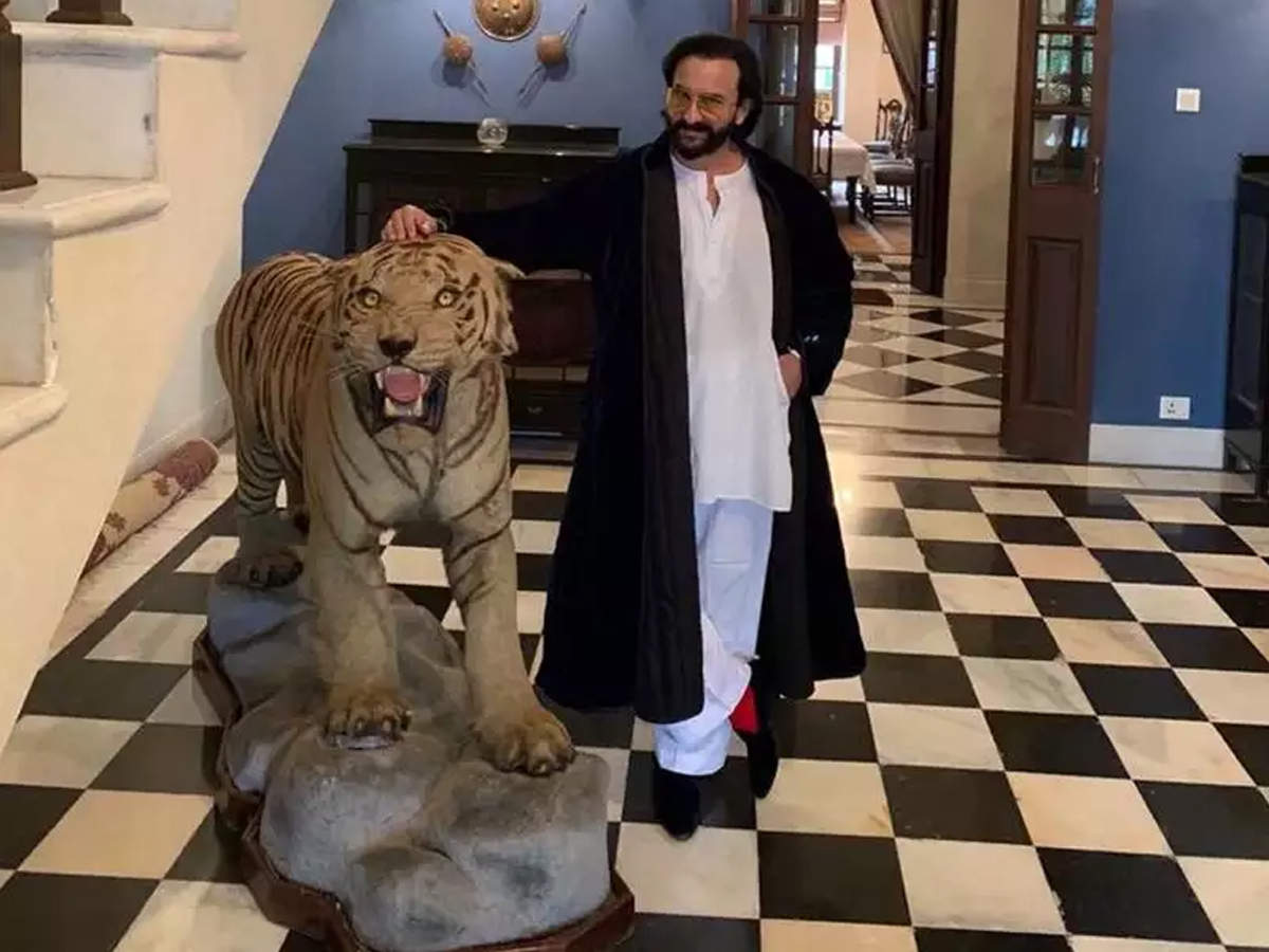 Saif Ali Khan Opened The Door Of His Pataudi Palace For Tandava Said I Was Quite Nervous Before Giving Up On Shooting Jsnewstimes