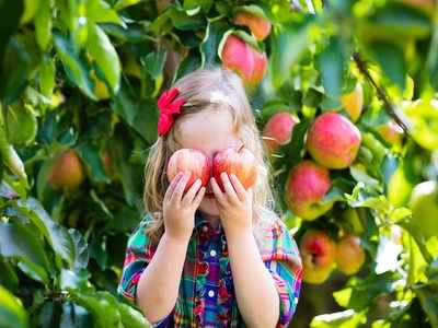 रोज सेब खिलाने से बच्चों को छू भी नहीं पाती हैं 100 तरह की बीमारियां 