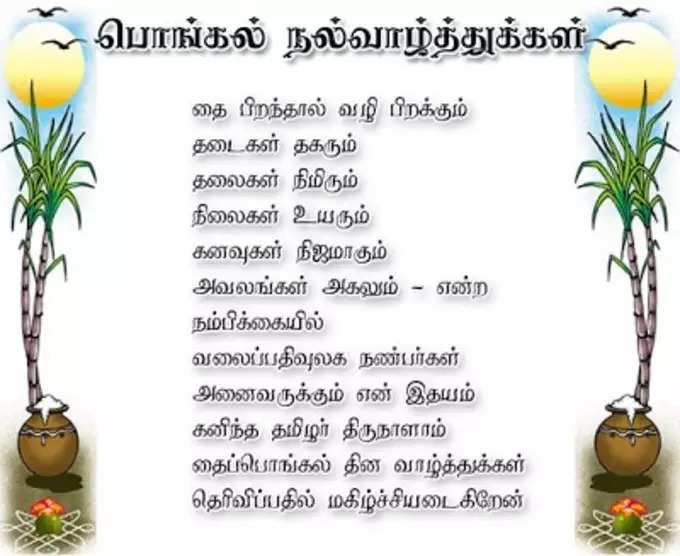 Pongal Wishes