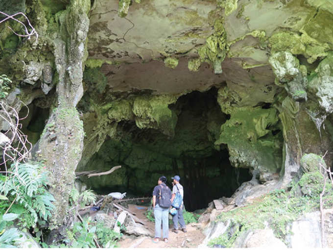 عکس موجود در غار