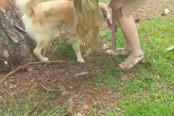 Young woman drinking dog urine