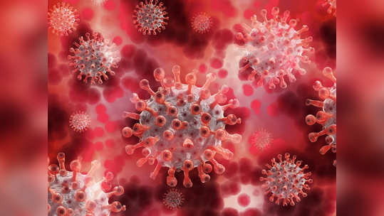 Coronavirus updates अरेरे! करोना आजारच नाही सांगणाऱ्याचा करोनाने मृत्यू