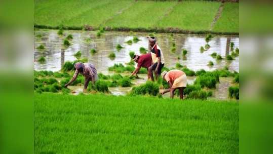 पदरात नवे काही नाही!