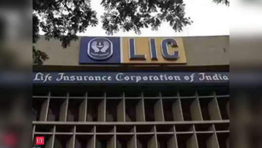 'LIC'च्या 'आयपीओ'ची वाट पाहताय ; 'या' अधिकाऱ्याने दिली महत्वाची माहिती