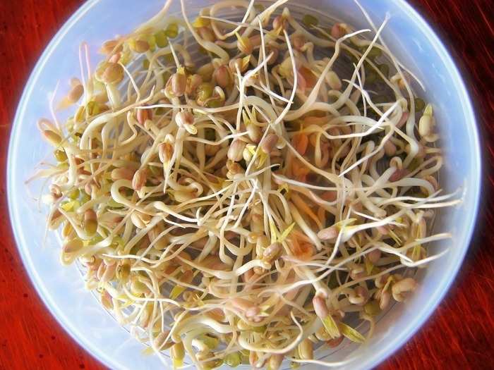 raw sprouts are unhealthy for health know what is the right way to eat them