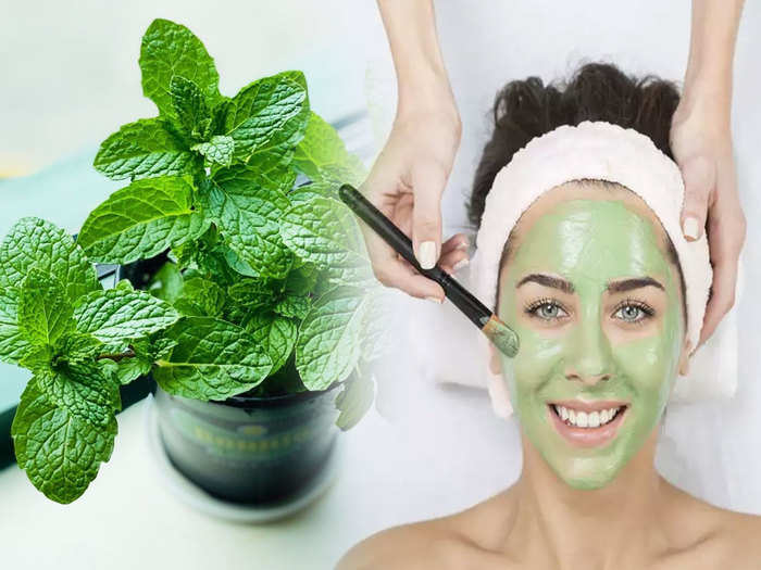 mint leaves paste to remove skin scars and prevent hair fall