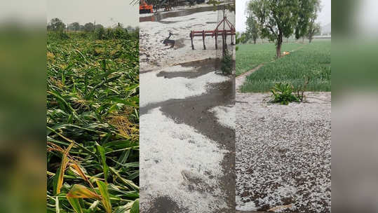 rain in mumbai: मुंबई, परिसरात मुसळधार पाऊस, सोसाट्याच्या वाऱ्यासह विजाही चमकल्या