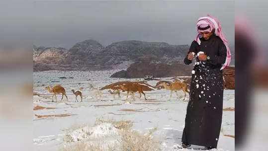 Saudi Arabia Snowfall सौदी अरेबियात हिमवृष्टी; ५० वर्षातला विक्रम तुटला, हवामान बदलाचा परिणाम?