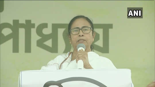 mamta banerjee : PM मोदींवर ममता बॅनर्जींची​ विखारी टीका; म्हणाल्या, 'मोदी देशातील सर्वात मोठे.... '