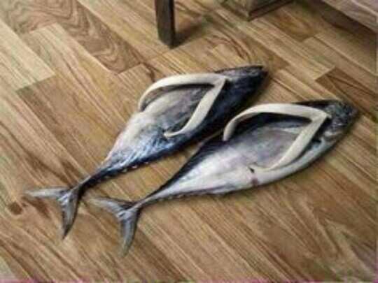 machli wala chappal
