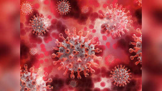 Coronavirus : विदर्भात ३,२५६ नवे बाधित