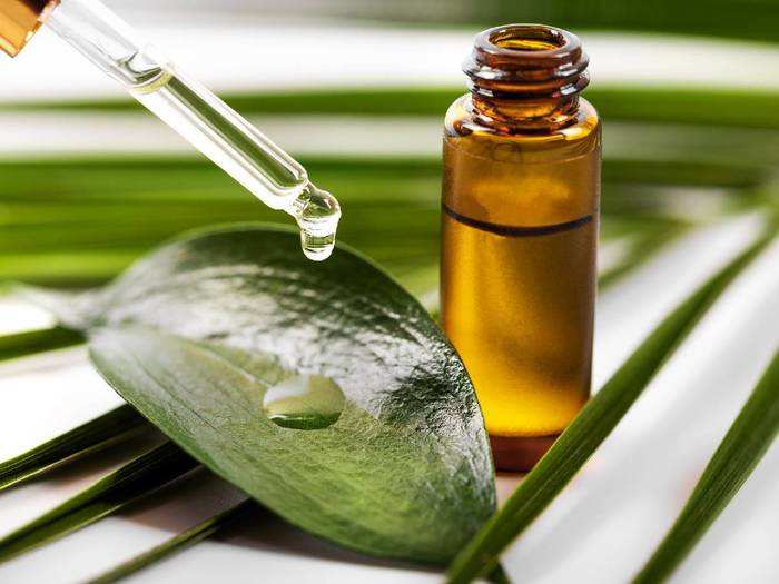 tea tree oil: बालों और त्वचा के लिए फायदेमंद है Tea Tree Oil, डिस्काउंट पर  आज ही करें ऑर्डर - tea tree oil on amazon | Navbharat Times