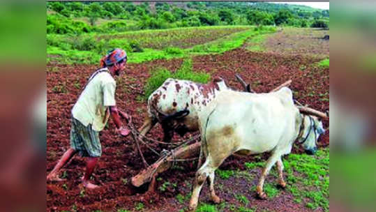 कोरडवाहू शेतीची हाक