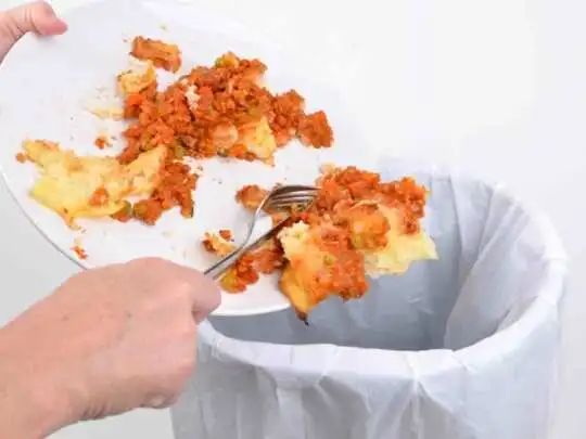 Waste-Food