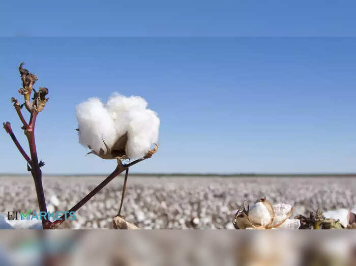 cotton-et