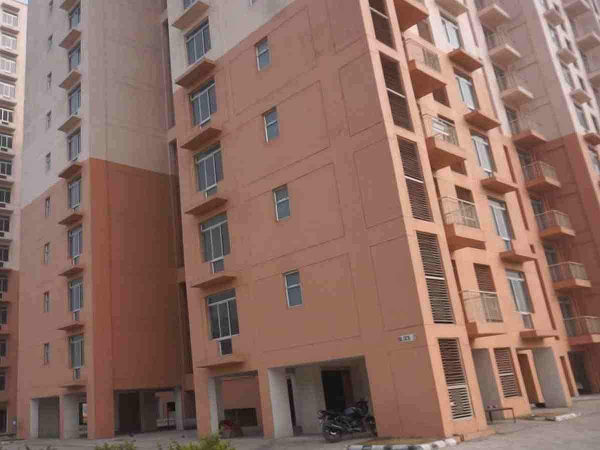 DDA Housing Scheme 2021 Draw LIVE: DDA Flats 2021 Draw Date And Time Live Streaming Details - डीडीए के 1353 फ्लैट्स का ड्रॉ आज, कंप्यूटर, लैपटॉप या मोबाइल पर ऐसे देखें लाइव - Navbharat Times