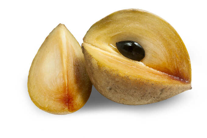 benefits of chikoo in pregnancy benefits of chikoo in pregnancy
