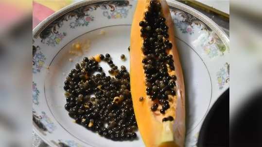 Papaya Seeds Benefits पपईच्या बिया कचरापेटीत फेकता? त्वचेपासून ते वेट लॉसपर्यंत मिळणारे ६ फायदे जाणून घ्या