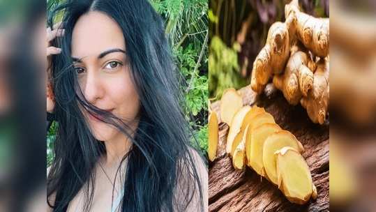 Ginger Hair Care केसांशी संबंधित सर्व समस्या या रसामुळे होतील दूर, केस होतील मऊ व सुंदर