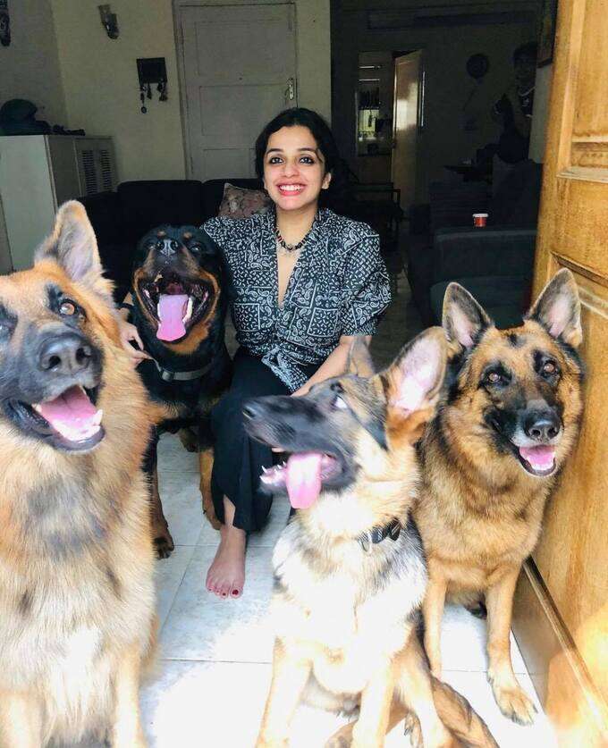 വളർത്തുനായകൾ ഏറെ