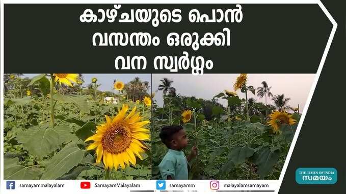 malayalam.samayam.com malayalam.samayam.com