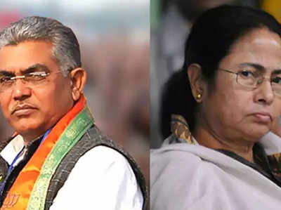 Bengal Elections 2021: दिलीप घोष बोले- साड़ी नहीं बरमूडा पहनें ममता, TMC का पलटवार- बंदरों को लगता है... 