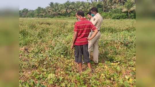 शेतात पाणी सोडण्यासाठी गेलेल्या पितापुत्रांचा शॉक लागून मृत्यू