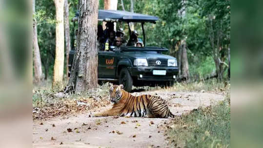 ताडोब्यात गाईडचे होणार ग्रेडेशन