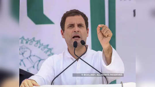 rahul gandhi : 'राहुल गांधींनी अद्याप लस का घेतली नाही, की त्यांना घ्यायची नाहीए?'