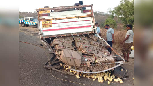 कोंबडीची पिल्ले नेणारा टेम्पो उलटला आणि...