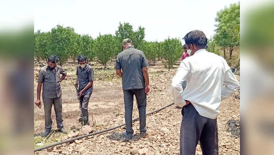 शेतात सापडलेला जुना हातबॉम्ब तरुणाने जमिनीवर आपटला आणि...