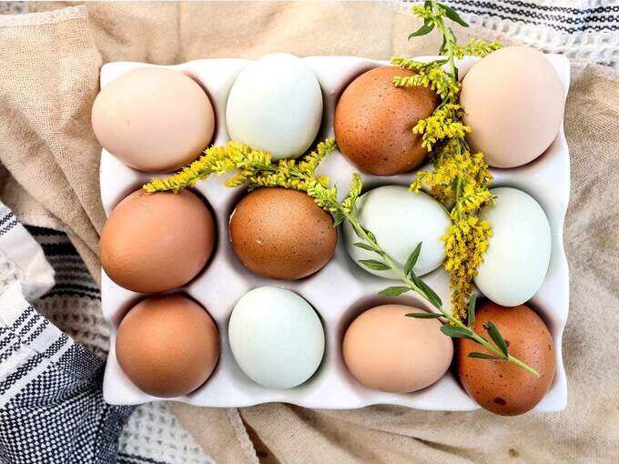 benefits of eating eggs: முட்டையை சாப்பிடாமல் தவிர்ப்பதால் உடலில் ஏற்படும் பக்க விளைவுகள் என்னென்ன... - effects of avoiding eggs to your diet 6 samayam tamil Tamil News Spot