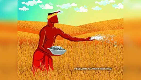 fertiliser : शेतकऱ्यांना दिलासा! डीएपी खतावरील अनुदानात मोठी वाढ, केंद्राचा निर्णय