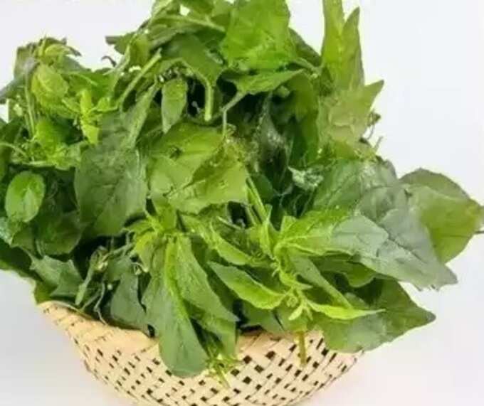 mouth sore remedies: வாய்ப்புண், வயிற்றுப்புண், குடல் புண்ணுக்கு பலன் தரும் எளிமையான கைவைத்தியம்! - how to get rid of mouth and stomach sore by using natural remedies 4 samayam tamil Tamil News Spot