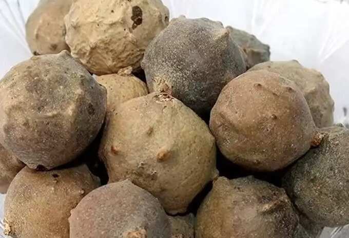 mouth sore remedies: வாய்ப்புண், வயிற்றுப்புண், குடல் புண்ணுக்கு பலன் தரும் எளிமையான கைவைத்தியம்! - how to get rid of mouth and stomach sore by using natural remedies 3 samayam tamil Tamil News Spot
