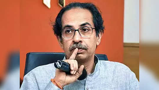 cm uddhav thackeray: 'मुख्यमंत्र्यांनी कोकणाला दिलेली आश्वासने खोटी'; भाजपने साधला निशाणा