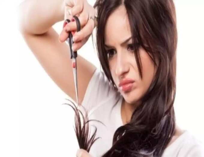 healthy and long hair tips: தினமும் தலைக்கு குளிச்சா கூந்தல் நீளமா வளருமா ? அவசியம் தெரிஞ்சுக்கங்க! - tips to follow to get healthy and long hair 6 samayam tamil Tamil News Spot