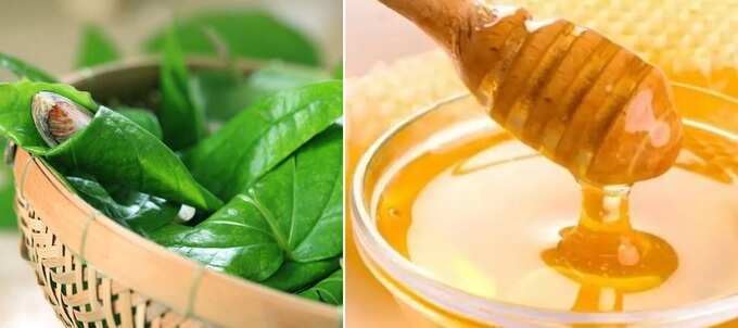 cough remedies in tamil: இருமலுக்கு உதவும் எளிமையான வீட்டு வைத்தியம்! பலன் நிச்சயம் உண்டு! - natural home remedies to get rid of cough in tamil 3 samayam tamil Tamil News Spot