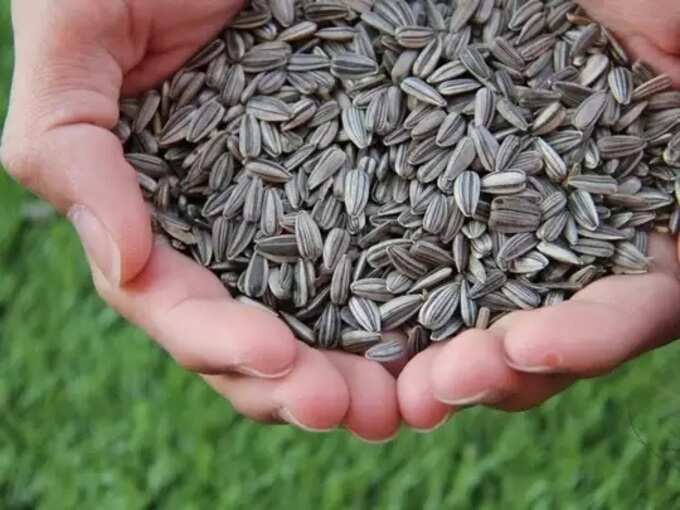best vitamins for anti aging: வயதான தோற்றம் : சீக்கிரம் வராம இருக்க இந்த அத்தியாவசிய ஊட்டச்சத்துக்கள் உதவும்! - best anti aging vitamins and nutrients in tamil 7 samayam tamil Tamil News Spot