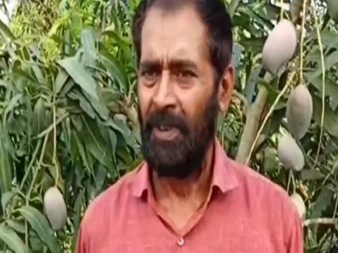 Mango_Man_Ashok_chaudry Mango_Man_Ashok_chaudry