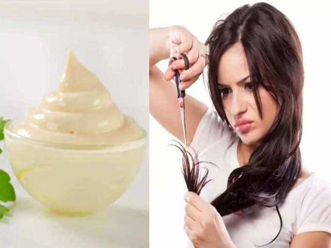 easy ways to get shiny hair: தலைமுடி கண்ணாடி போன்று பளபளப்பாக இருக்க இந்த ஐந்தில் ஒன்று யூஸ் பண்ணுங்க! - homemade hair mask to get shiny and healthy hair 6 samayam tamil Tamil News Spot