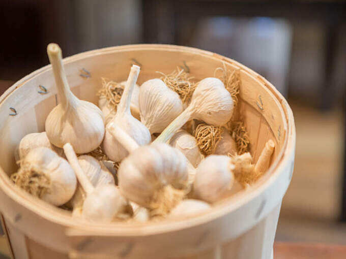 garlic eating benefits in tamil: நெஞ்செரிச்சல் இருக்கும்போது பூண்டு சாப்பிடக்கூடாது... ஏன் தெரியுமா? - should you avoid eating garlic if you have acid reflux in tamil 4 samayam tamil Tamil News Spot