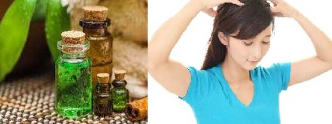 how to get rid of scalp pain: உச்சந்தலை அரிப்பு, அதீத வலி இந்த அஞ்சுல ஒரு எண்ணெய் யூஸ் பண்ணுங்க! எல்லோருமே செய்யலாம்! - best oil to cure scalp pain at home in tamil 7 samayam tamil Tamil News Spot
