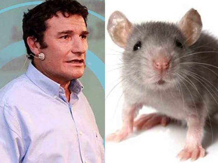 Haim Cohen mice