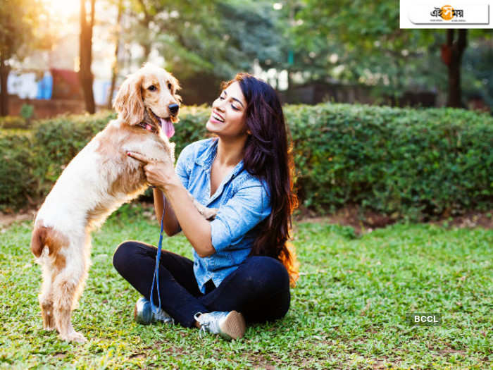 Pet Dog Improves Parenting Skill প ষ ক ক র ভ ল অভ ভ বক হত স হ য য কর আপন ক বলছ সম ক ষ Pet Dog Improves Parenting Skill Survey Finds Eisamay