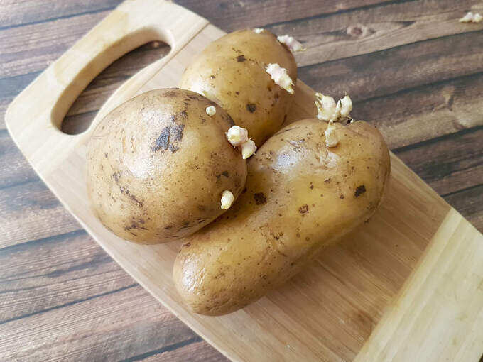 potato eating benefits: உருளைக்கிழங்கில் இப்படி பச்சை நிறமாக இருந்தால் அதை சாப்பிடாதீங்க... நச்சுத்தன்மை இருக்காம்... - you should never eat a potato that looks green like this 5 samayam tamil Tamil News Spot