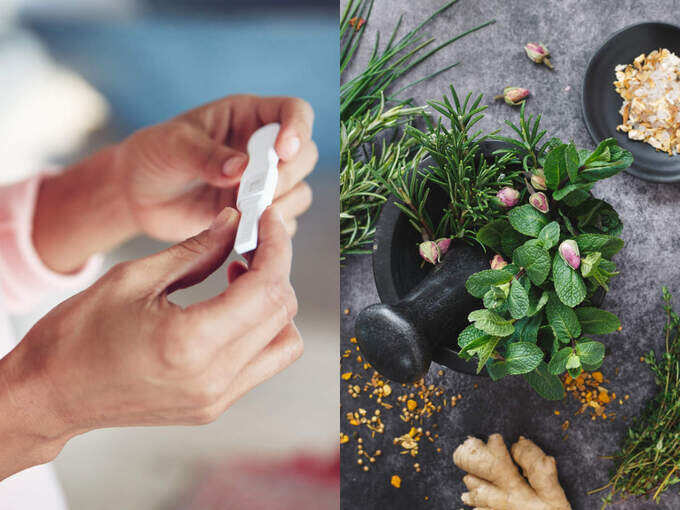 herbs for fertility: வேகமாக கருத்தரிக்க உதவும் 5 மூலிகைகள் என்னென்ன... - 5 herbs that can help you get pregnant in tamil 5 samayam tamil Tamil News Spot