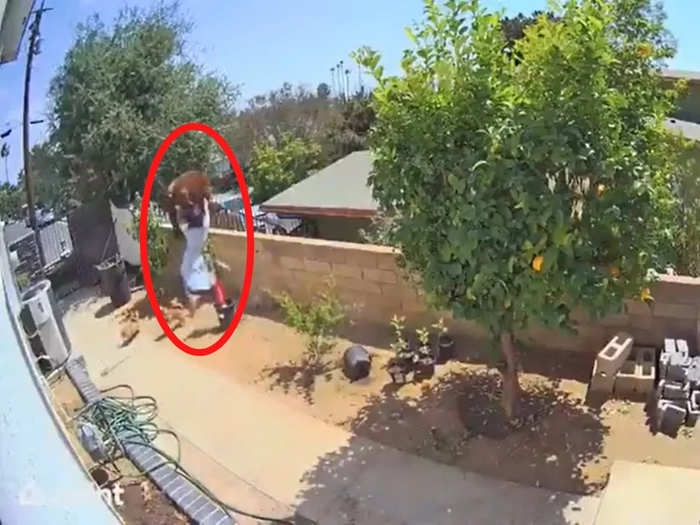 Girl pushes bear from wall