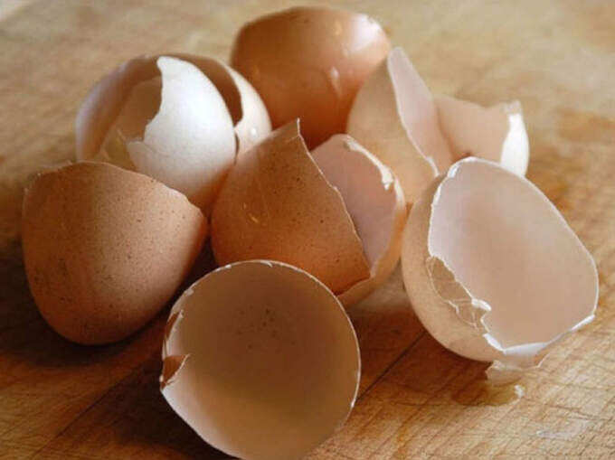 egg shell for skin whitening: சருமத்தை பால் போல வெண்மையாக மாற்றும் முட்டை ஓடு... எப்படி யூஸ் பண்ணணும்... - 5 amazing ways to use egg shell for skin glow in tamil 3 samayam tamil Tamil News Spot