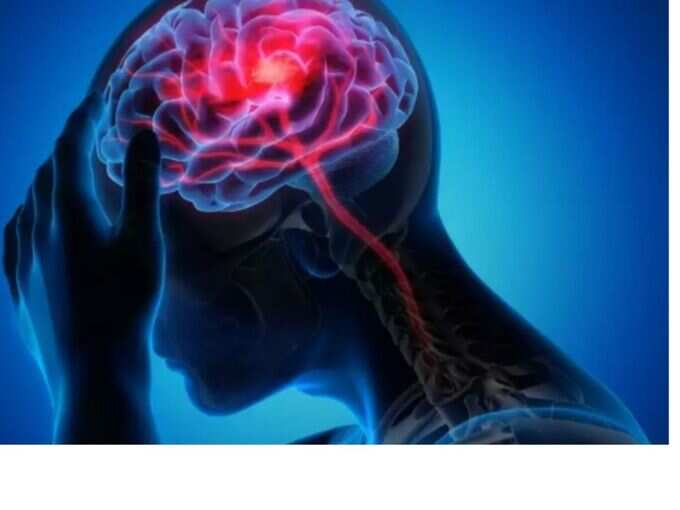 prion-